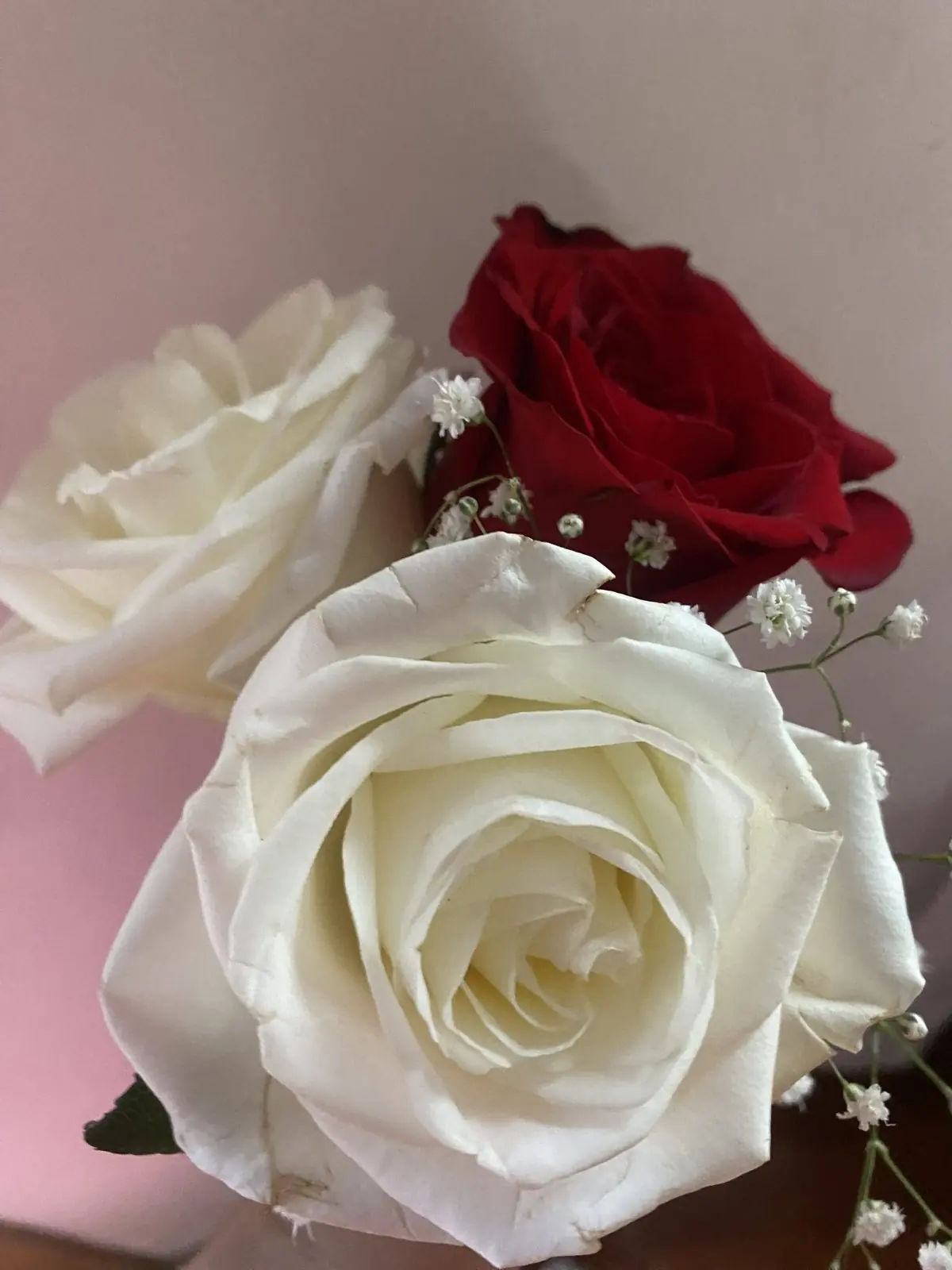 ช่อเล็กกุหลาบ 3 ดอก สีแดง 1 ดอก สีขาว 2 ดอก แซมยิปโซ